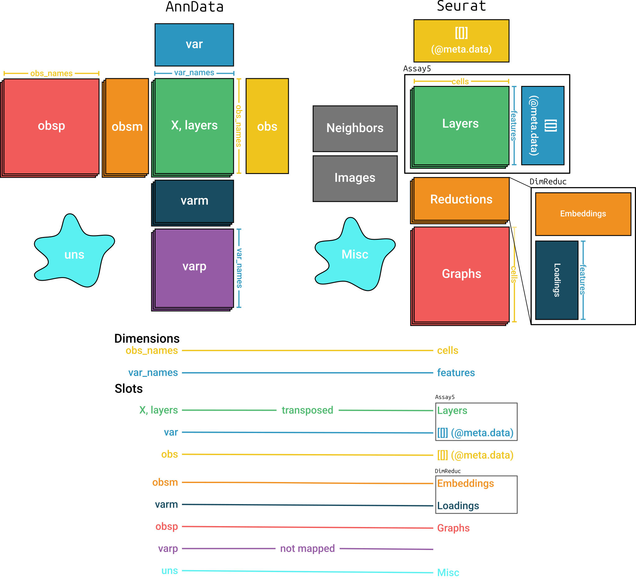 Mapping between `AnnData` and `Seurat` objects